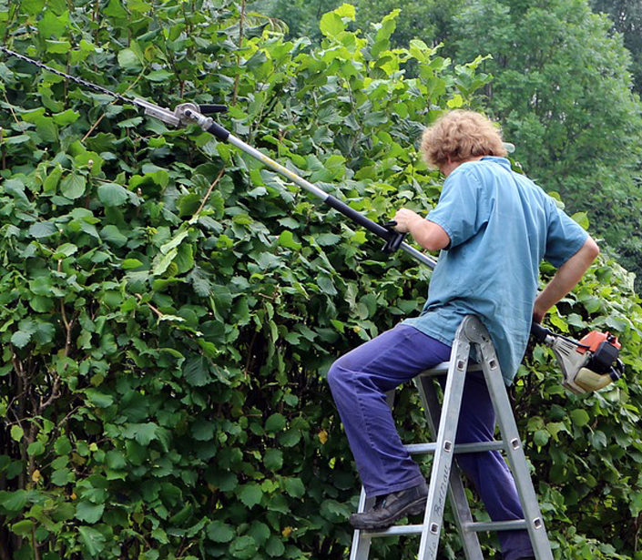 Student assistent plant, dier of groene omgeving